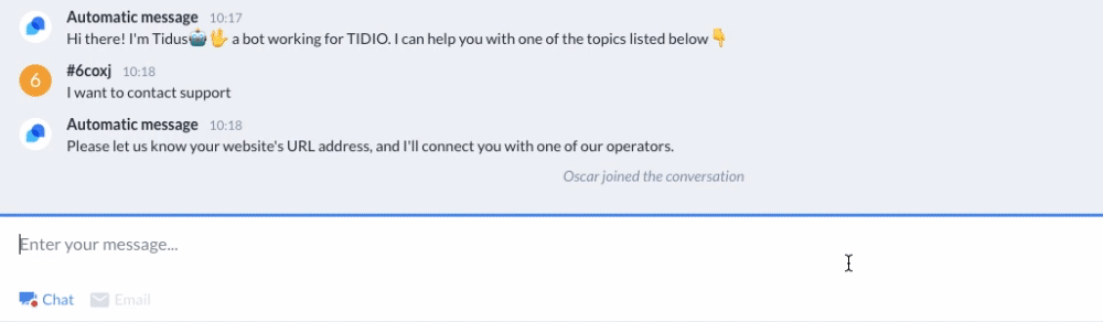 Shopify在线聊天工具Tidio live chat 安装使用教程