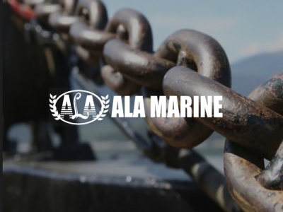 链为网络 | 造船行业IALA网站建设案例