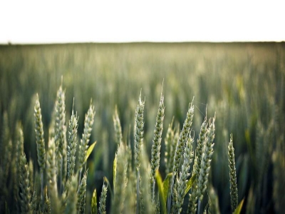 为什么你的Facebook主页没有任何询盘？外贸社媒获客的正确姿势