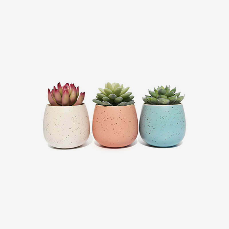 product_19